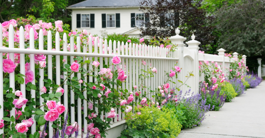 garden-fence