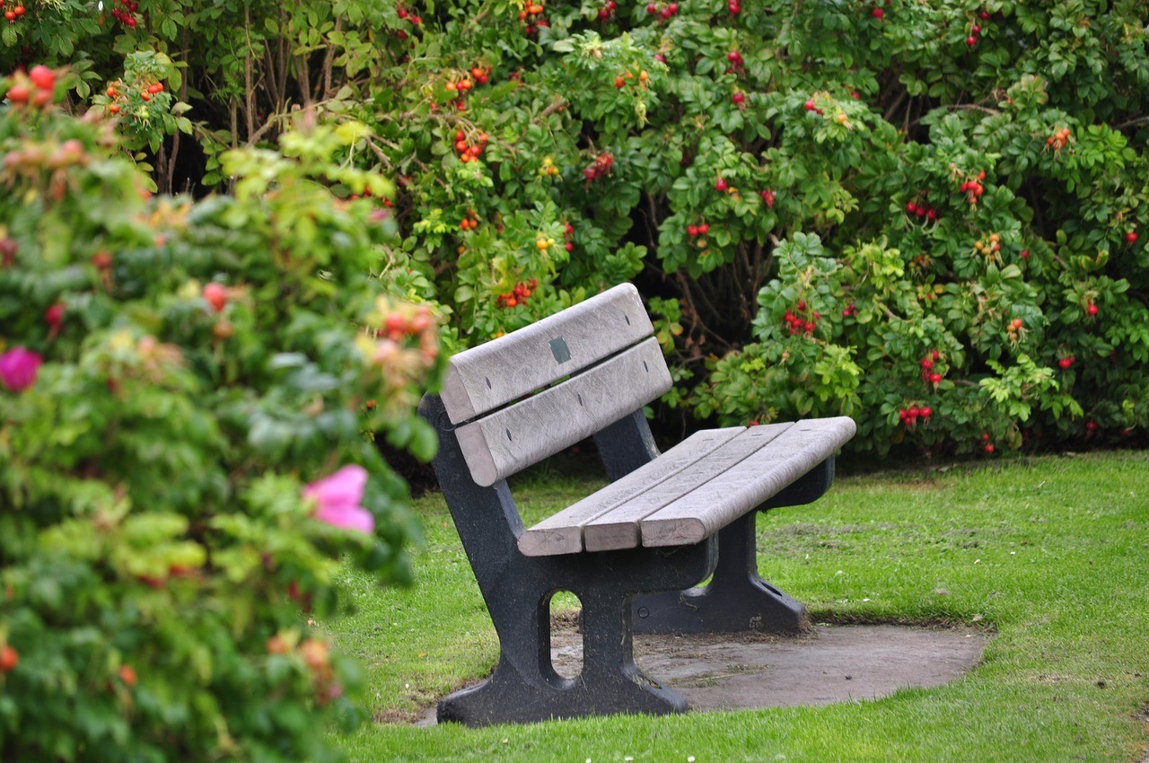 bench-in-garden