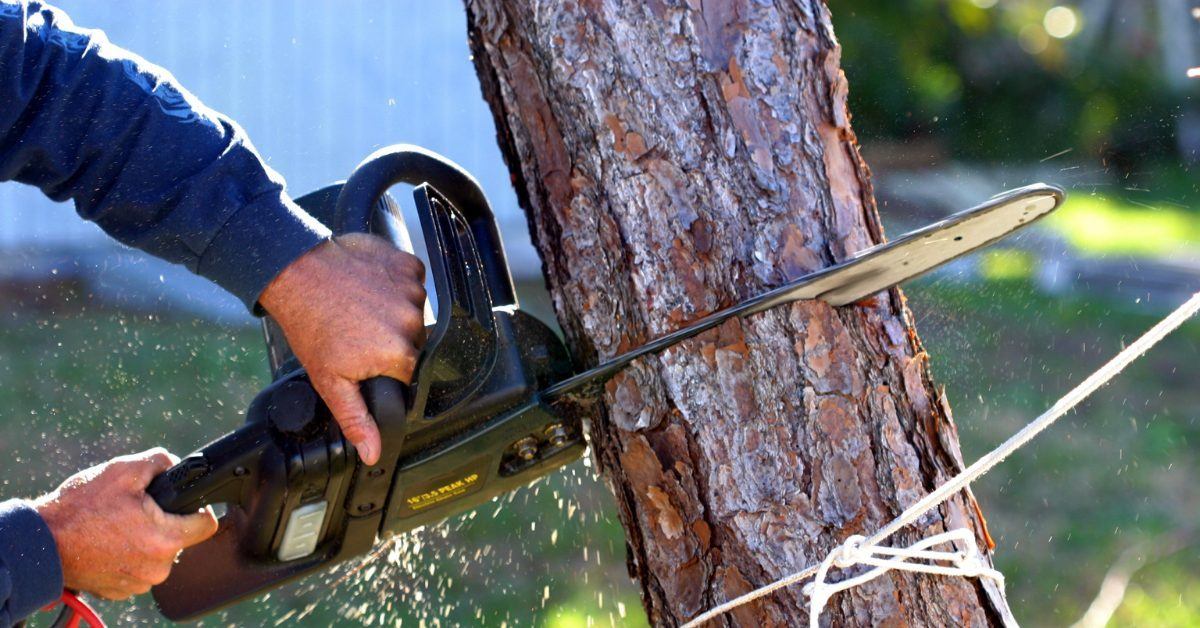 How Do I Stop My Chainsaw From Overheating