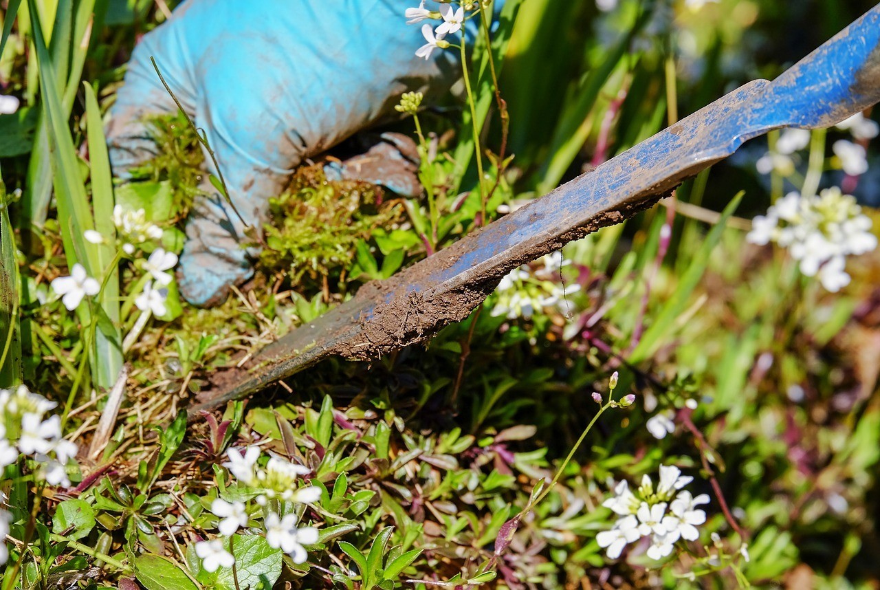 garden-weed garden-weed